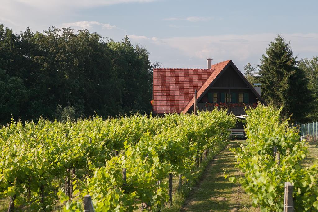 Ferienhaus Neubauer Spielfeld Dış mekan fotoğraf